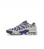 Nike Air Max Plus Drift Concord