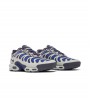 Nike Air Max Plus Drift Concord