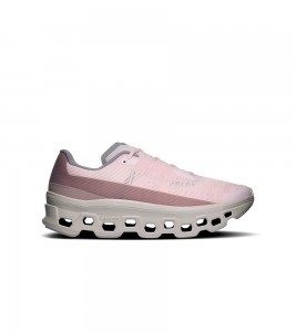 On Running Cloudmonster Salt Biscuit Wmns