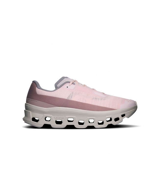 On Running Cloudmonster Salt Biscuit Wmns