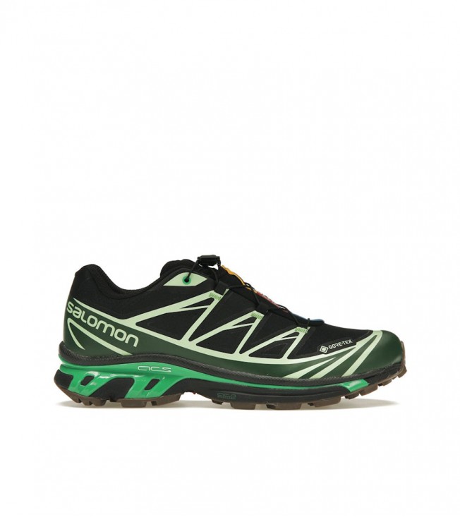 Salomon Advanced XT-6 Gore-Tex Eden Green Ash