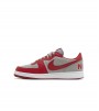 Nike Terminator Low UNLV