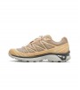 Salomon XT-6 Clear Safari