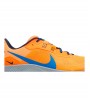 Nike Pegasus Trail 3 Orange