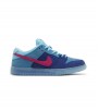 Nike SB Dunk Low Run The Jewels