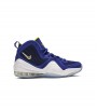 Nike Air Penny V “Blue Chips”