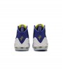 Nike Air Penny V “Blue Chips”