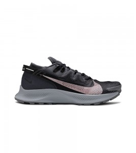Nike Pegasus Trail 2