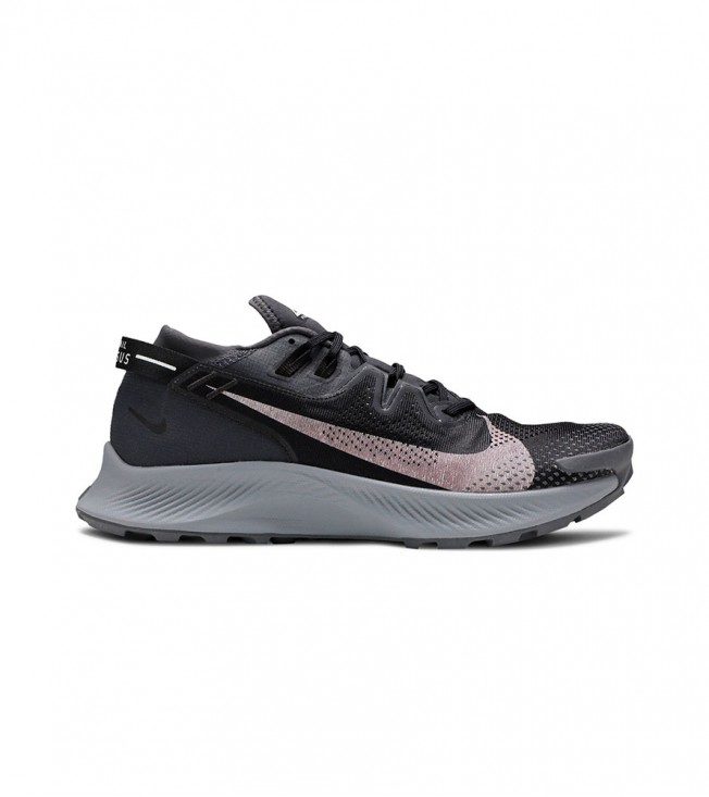 Nike Pegasus Trail 2