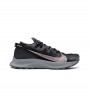 Nike Pegasus Trail 2
