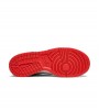 Nike Dunk Low EMB NBA 75th Anniversary Chicago (GS)