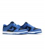 Кроссовки Nike Dunk Low Retro Hyper Cobalt (GS)