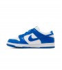 Nike Dunk Low SP Kentucky