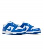 Nike Dunk Low SP Kentucky