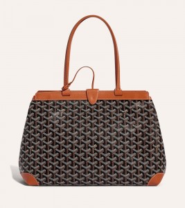 Сумка Goyard Bellechasse Biaude PM Bag Black & Tan - Фото №2
