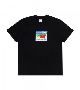 Футболка Supreme Weather Tee Black
