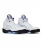 Jordan 5 Retro Dark Concord
