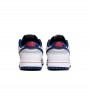 Nike Dunk Low EMB NBA 75th Anniversary Brooklyn Nets