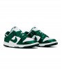 Nike Dunk Low Michigan State Satin WMNS