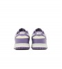 Nike Dunk Low Next Nature Daybreak  WMNS