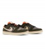 Nike Dunk Low Rainbow Trout