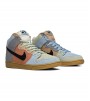 Nike SB Dunk High Spectrum