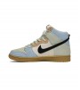 Nike SB Dunk High Spectrum