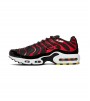 NIKE AIR MAX PLUS (GS)