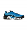 Nike Air Max Plus Tn Naples Replacement Box*