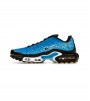 Nike Air Max Plus Tn Naples Replacement Box*